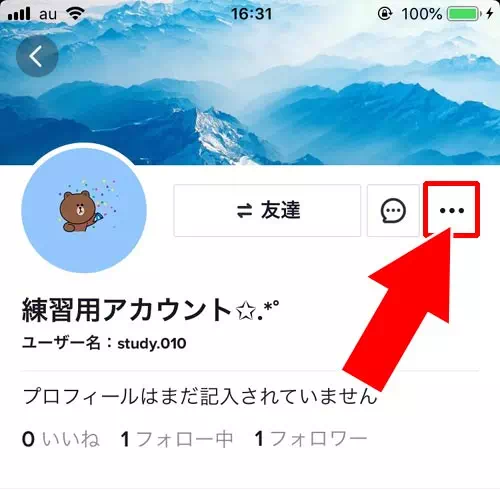 相手のプロフィール画面からメッセージを送る - メッセージを送信する方法｜TikTokでダイレクトメッセージ（DM）の使い方！既読や削除などの仕組みも解説