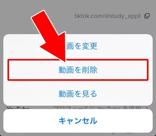動画から元の画像（静止画）表示に戻す方法｜TikTokのプロフィール画像（アイコン）に動画を設定する方法