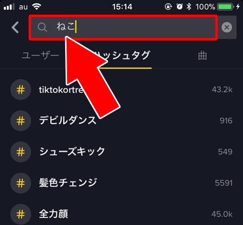 ハッシュタグや曲などの検索から視聴する-動画を見る|TikTok(ティックトック)とは?初めてのTikTokを楽しむ使い方まとめ