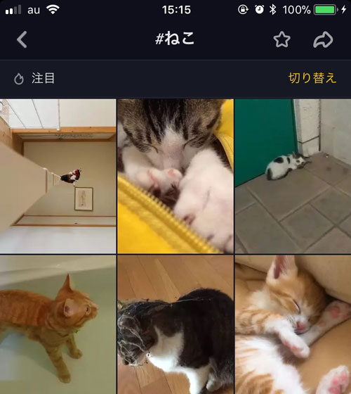 ハッシュタグや曲などの検索から視聴する-動画を見る|TikTok(ティックトック)とは?初めてのTikTokを楽しむ使い方まとめ