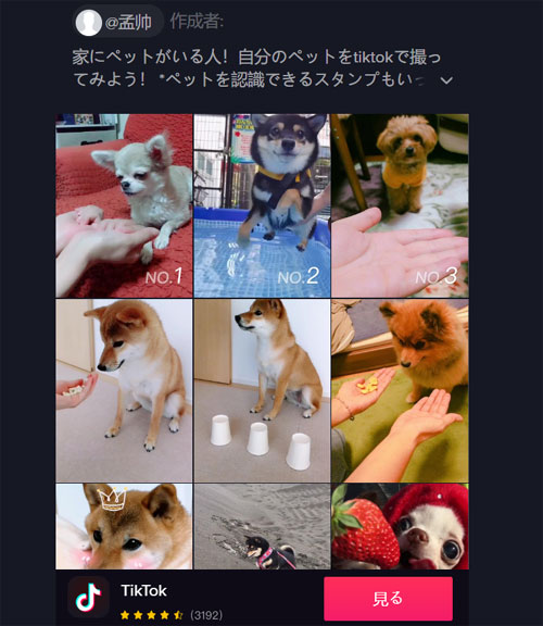 動画だけでなく検索結果画面もリンクを送れる|TikTokをPC(パソコン)で見る方法!動画の拡大や保存などにも使えます