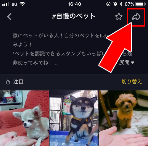 動画だけでなく検索結果画面もリンクを送れる-TikTokの動画をPCで見る方法|TikTokをPC(パソコン)で見る方法!動画の拡大や保存などにも使えます