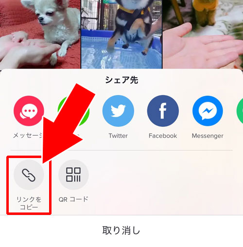 動画だけでなく検索結果画面もリンクを送れる-TikTokの動画をPCで見る方法|TikTokをPC(パソコン)で見る方法!動画の拡大や保存などにも使えます
