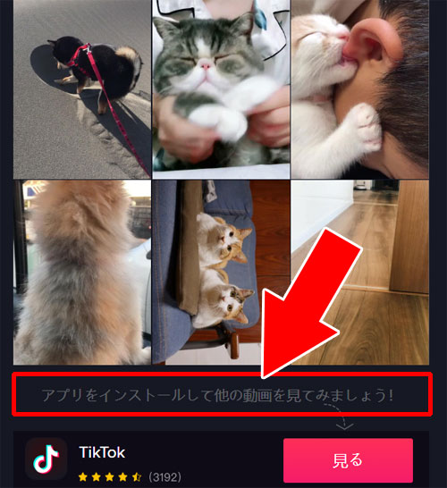 動画だけでなく検索結果画面もリンクを送れる-TikTokの動画をPCで見る方法|TikTokをPC(パソコン)で見る方法!動画の拡大や保存などにも使えます