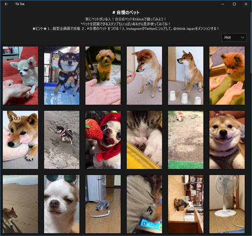 タブレットPC(Windows10版)ならTikTokアプリが使える|TikTokをPC(パソコン)で見る方法!動画の拡大や保存などにも使えます