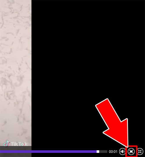 動画を拡大して見る-TikTok動画をPCで見る時のポイント|TikTokをPC(パソコン)で見る方法!動画の拡大や保存などにも使えます