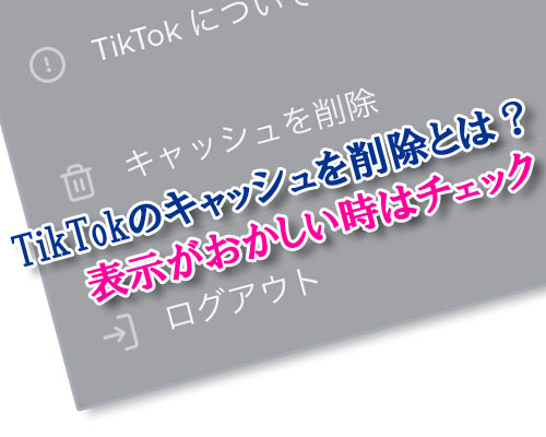 TikTokのキャッシュを削除とは？動画が見れないのはキャッシュが原因かもしれません