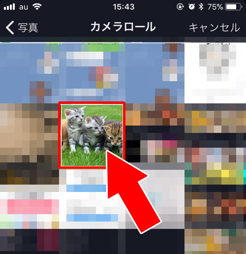 プロフィール画像を変更する|TikTokでプロフィールの変更方法!編集のやり方が判りづらいので注意です