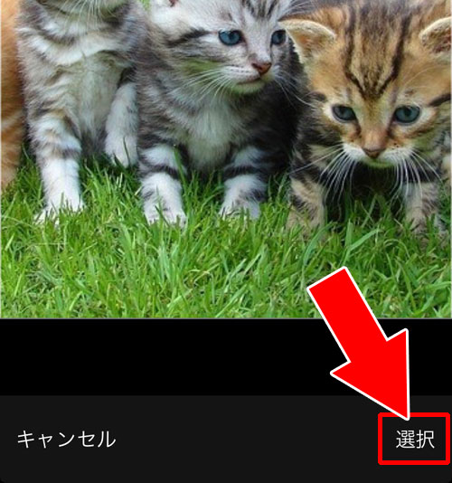 プロフィール画像を変更する|TikTokでプロフィールの変更方法!編集のやり方が判りづらいので注意です
