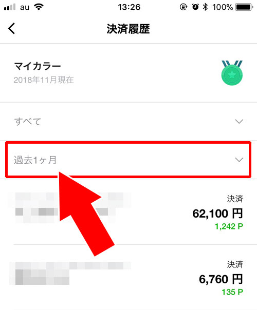 過去の獲得ポイントも一覧で確認したい時|LINE Payカードで獲得したポイントの確認方法!過去の履歴も一覧で確認できます