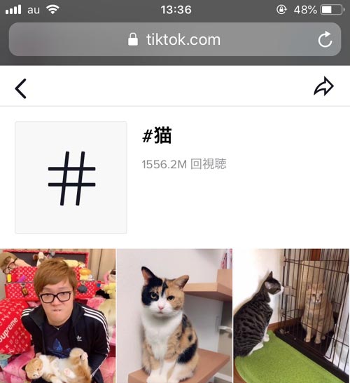 TikTokのweb版(ブラウザ)で検索する|TikTokでハッシュタグの検索方法!検索できない時の原因もまとめました