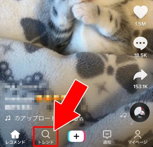 TikTokアプリ内から検索する|TikTokでハッシュタグの検索方法!検索できない時の原因もまとめました
