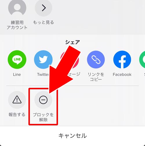 TikTokでブロックの解除方法|TikTokでブロックのやり方と解除方法!ブロックした相手は一覧で確認できます