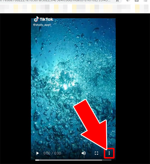 動画をPCに保存(ダウンロード)する|TikTokをPC(パソコン)で見る方法!動画の拡大や保存などにも使えます
