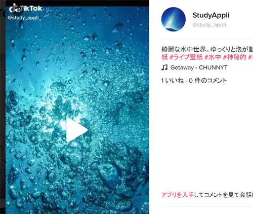 動画を拡大して見る|TikTokをPC(パソコン)で見る方法!動画の拡大や保存などにも使えます