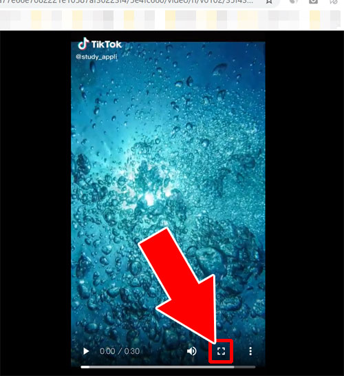 動画を拡大して見る|TikTokをPC(パソコン)で見る方法!動画の拡大や保存などにも使えます