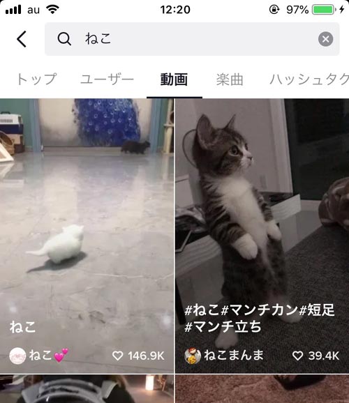 動画 - TikTokでキーワード検索できる項目一覧|TikTokで検索の仕方まとめ!キーワードやカテゴリから検索できます