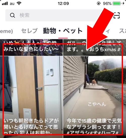 カテゴリから検索する|TikTokで検索の仕方まとめ!キーワードやカテゴリから検索できます