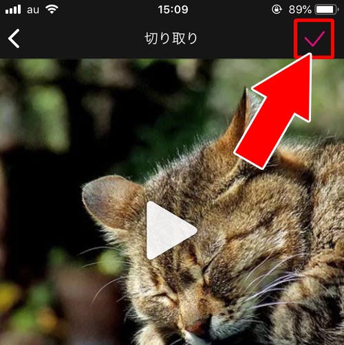 1枚の画像を動画に変換する方法|TikTokで写真や画像から動画投稿する方法!1枚画像は動画変換してから投稿しよう