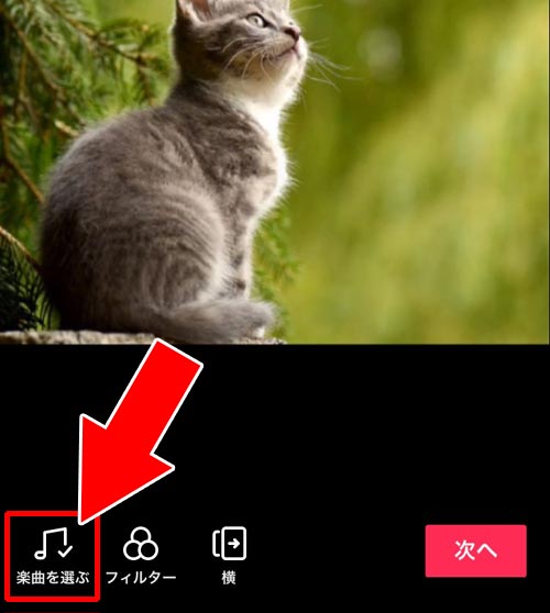 スライドショーの楽曲を変更する方法 - 複数枚の写真や画像をスライドショーにして投稿する|TikTokで写真や画像から動画投稿する方法!1枚画像は動画変換してから投稿しよう
