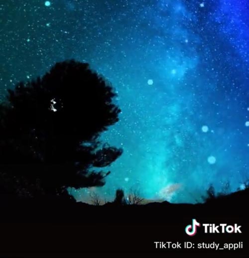 TikTokの動画を全画面で見る方法!部分拡大して見ることもできます
