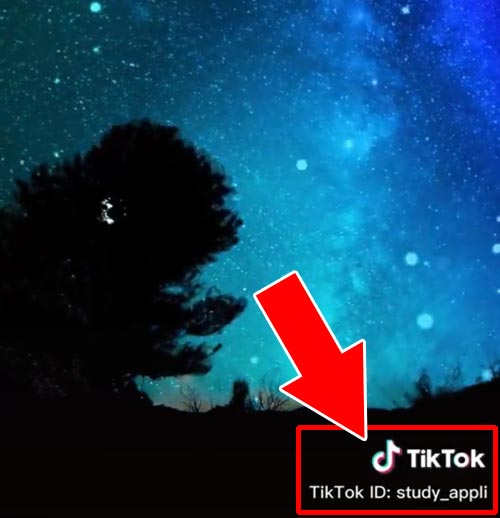 TikTokのアイコンが邪魔でも我慢|TikTokの動画を全画面で見る方法!部分拡大して見ることもできます
