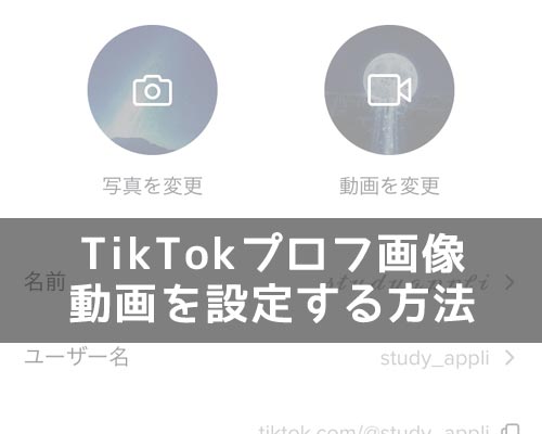 Tiktokのプロフィール画像 アイコン に動画を設定する方法 Studyappli