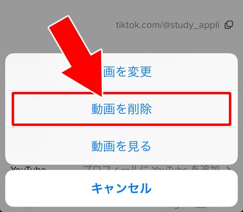 動画から元の画像(静止画)表示に戻す方法|TikTokのプロフィール画像(アイコン)に動画を設定する方法