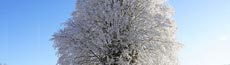 『冬』写真3｜SHOWROOMのバナー画像で使える写真素材まとめ