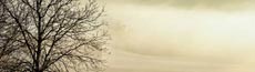 『冬』写真5｜SHOWROOMのバナー画像で使える写真素材まとめ