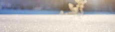 『冬』写真9｜SHOWROOMのバナー画像で使える写真素材まとめ
