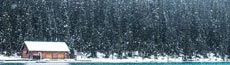 『冬』写真12｜SHOWROOMのバナー画像で使える写真素材まとめ