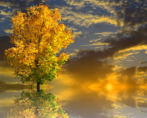 『秋』写真8｜TikTokのカバー画像（ホーム画像）で使える写真素材まとめ