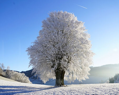 『冬』写真3｜TikTokのカバー画像（ホーム画像）で使える写真素材まとめ